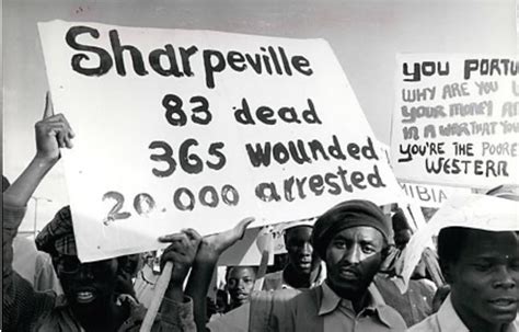  The Sharpeville Massacre: A Pivotal Moment in South Africa’s Struggle Against Apartheid